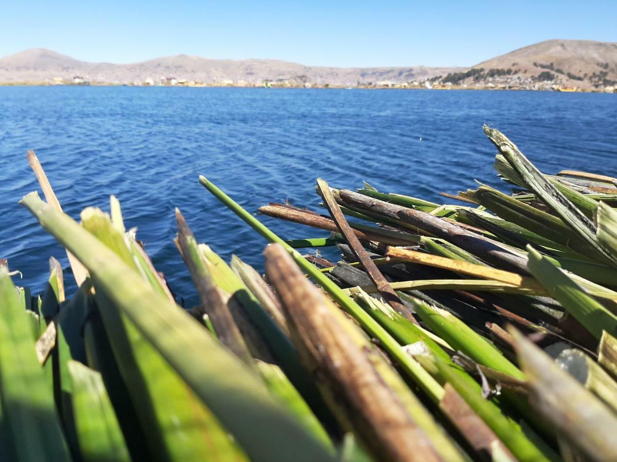 Quechua Lodge Titicaca ปูโน ภายนอก รูปภาพ